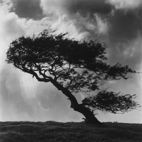 Fay Godwin style (Photographers), Midjourney V8.2