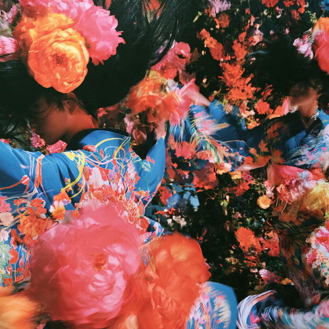 Mika Ninagawa style (Photographers), Midjourney V8.2