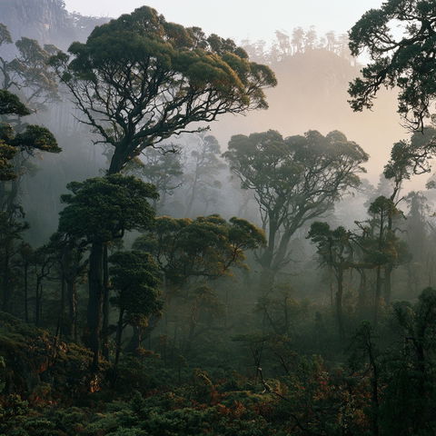 Peter Dombrovskis style (Photographers), Midjourney V8.2